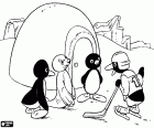 O pinguim Pingu e os seus amigos perto do iglu