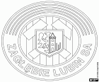 Distintivo de Zagłębie Lubin Sportowa SA, clube de futebol baseado em Lubin, cidade localizada na voivodia da Baixa Silésia, no sudoeste da Polônia
