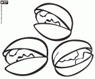 Os pistache ou pistáchio são sementes muito nutritivas e comestíveis que são comidas cruas ou torradas. Os pistácios são as sementes de uma pequena árvore nativa das áreas montanhosas da Ásia Central, Pistacia vera. O maior produtor de pistache do mundo é o Irã
