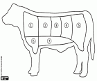 Um esquema gráfico simples com os cortes de carne bovina. Há diferentes peças de carne de acordo com as tradições de diferentes países. A carne de bovino é muito consumido em churrascos