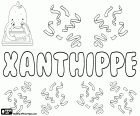 Xanthippe, nome grego para a menina, outra variante do mesmo nome é Xanthippi. Xanthippe ou Xântipe foi a mulher de Sócrates, o famoso filósofo grego