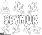 Seymur, nome para criança popular no Azerbaijão. Seymur tem uma grande semelhança com o nome e sobrenome inglês Seymour