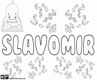 Slavomir, nome para menino em eslovaco, tcheco e croata, também é uma transliteração do nome em russo e em sérvio. Sławomir é o mesmo nome em polaco