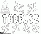 Tadeusz, variante de Taddeusz, nome bíblico masculino de origem aramaica, Thaddai, nome em polonês e francês, variante do grego nome Thaddaios e o nome latinizado Thaddeus, Tadeu