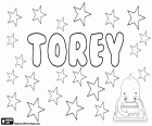 Torey, nome em inglês usado para menino e menina, com diferentes origens possíveis. Por exemplo, variante de Torry, nome masculino de origem nórdica em dinamarquês e norueguês. Também variante de Torrey, nome de origem gaélico, derivado de Torrence. Torey, variante de Tori, nome feminino japonês, que significa pássaro
