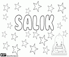 Salik, nome masculino com várias origens e significados, também um sobrenome. Salik, nome para menino muito popular na Groenlândia, seu significado é o limpador, e poderia vir da mitologia groenlandêsa. Salik, nome masculino de origem árabe, variante de Saliq