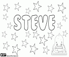 Steve, nome em inglês para menino, forma abreviada que corresponde ao Steven e Stephen em inglês, derivado do nome de origem grega, Stephanos. Estevão em português