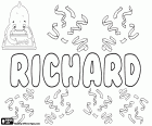 Richard, nome masculino de origem germânica em muitos idiomas, como Inglês, alemão, francês, romeno, húngaro, checo, eslovaco e holandês