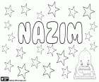 Nazim, variante de Nazem, Nadhem ou Nadhim, transcrição do nome árabe para rapaz que significa poeta