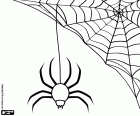 Uma teia de aranha com uma aranha enorme, dois elementos decorativos para festas de Halloween