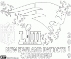 New England Patriots são os campeões do Super Bowl de 2019. Eles venceram na final de Los Angeles Rams por 13-3. O MVP foi Julian Edelman. New England Patriots e o quarterback Tom Brady conquistaram seu sexto título de campeão