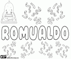Romualdo, nome de origem germânica, em várias línguas como espanhol, português e italiano, derivado da forma latina medieval Romualdo