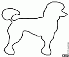 Um desenho para colorir com a silhueta de um grande cão poodle com o corte de cabelo mais comum para sua fácil manutenção, conhecido como Puppy Clip