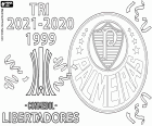Sociedade Esportiva O Palmeiras conquistou seu terceiro título de campeão da Copa Libertadores. O Palmeiras venceu o Flamengo por 2 a 1 na final com gols de Rafael aos 5 minutos e o gol decisivo de Deyverson aos 95 minutos, e aos 72 minutos, gol de Gabriel Barbosa para o time carioca.