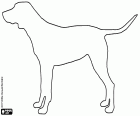 Uma página para colorir com a silhueta de um cão grande com uma cauda horizontal, um sinal de que o cão está interessado em algo