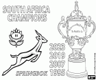Os Springboks, da África do Sul, mantiveram o título mundial ao vencerem os All Blacks da Nova Zelândia por 11 a 12. A África do Sul é o primeiro país a vencer a Webb Ellis Cup quatro vezes, o troféu para o vencedor do campeonato mundial de rugby. Os quatro títulos mundiais da África do Sul são os conquistados na África do Sul 1995, França 2007, Japão 2019 e França 2023
