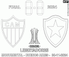 Atlético Mineiro x Botafogo, a final da Copa Libertadores 2024, Estádio Monumental de Buenos Aires, Argentina