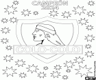 O Club Social y Deportivo Colo-Colo é o novo campeão da primeira divisão do Chile na temporada 2024. Este título, o 34º do clube de Santiago, é um novo recorde histórico no futebol profissional chileno