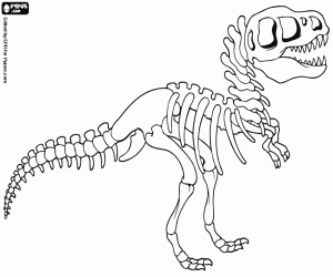 desenho de Reconstrução dum esqueleto de dinossauro para colorir