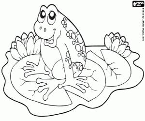 desenho de Uma rã em um nenúfar para colorir