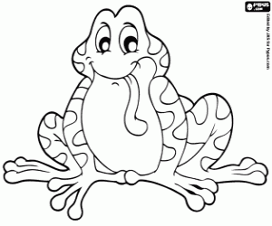 desenho de O sapo para colorir