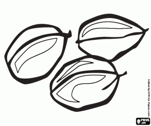 desenho de Sementes de cardamomo para colorir