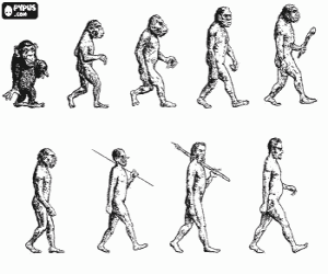 desenho de Sequência da evolução humana para colorir