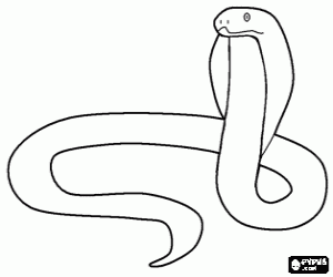 desenho de Uma serpente venenosa, uma cobra para colorir