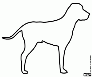 desenho de Silhueta de cachorro pointer inglês para colorir