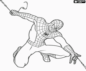 desenho de Spiderman e sua teia de aranha para colorir