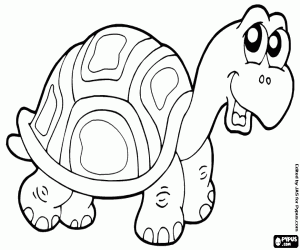 desenho de Uma tartaruga de terra para colorir