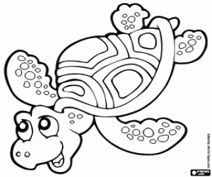 desenho de Tartaruga marinha para colorir