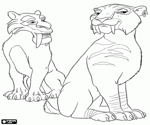 desenho de Os tigres Diego e Shira para colorir