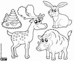 desenho de Três animais da floresta para colorir