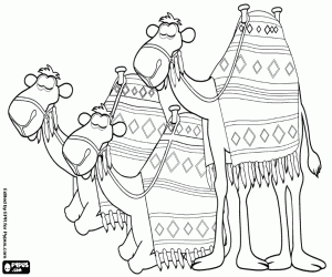 desenho de Os três camelos do Oriente para colorir