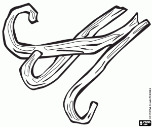 desenho de Três vagens de baunilha para colorir