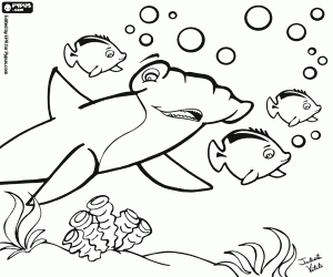 desenho de Um tubarão-martelo entre peixes para colorir