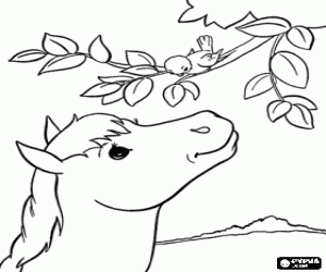 desenho de Um cavalo jovem e um passarinho para colorir