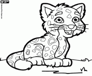 desenho de Um pequeno jaguar para colorir
