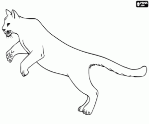 desenho de Um puma pulando, suçuarana para colorir