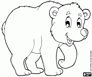 desenho de Urso branco para colorir