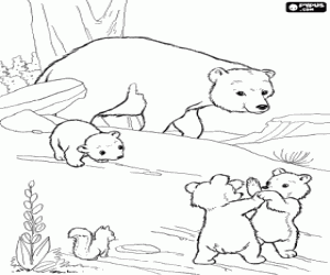 desenho de Os ursos e mamãe urso para colorir