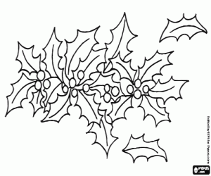 desenho de Vegetal enfeite de Natal com azevinho para colorir