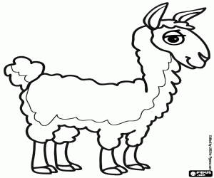 desenho de Uma vicunha dos Andes para colorir
