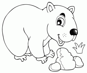 desenho de Um vombate, um marsupial australiano para colorir