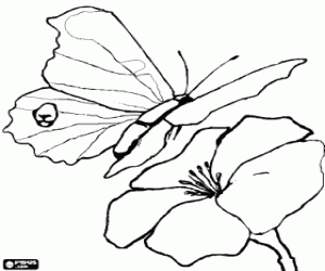 desenho de O vôo da borboleta para colorir