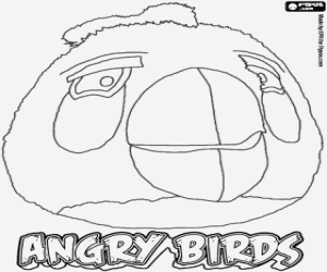 desenho de White Bird, Angry Birds para colorir