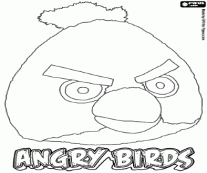 desenho de Yellow Bird e Angry Bird para colorir
