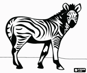 desenho de Zebra, animal selvagem para colorir